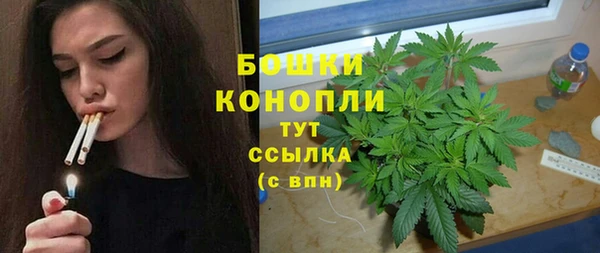хмурый Сосновка