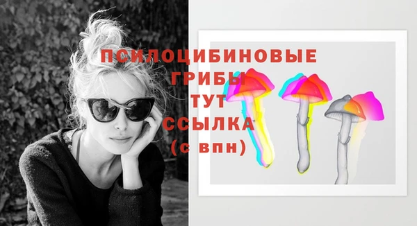 хмурый Сосновка