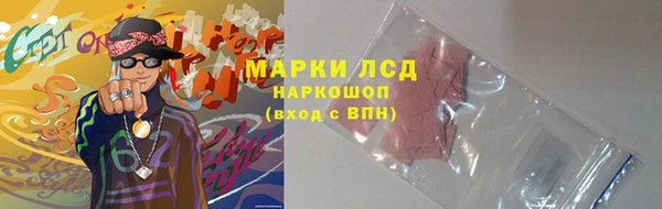 хмурый Сосновка