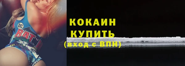 хмурый Сосновка