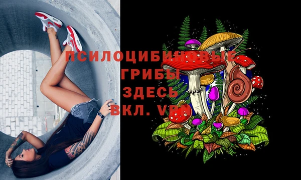 а пвп мука Свободный
