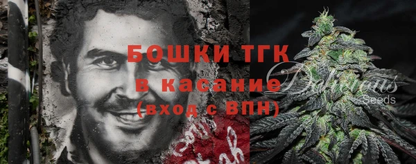 хмурый Сосновка